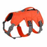 Ruffwear Web Master valjaat koiralle, oranssi 204378_Ruffwear_Web_Master_Hundsele_Orange_2
