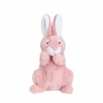 213650_LittleBigger_PuppyBasics_Kanin_Mjukisdjur_till_Valp_1