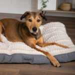 214088_Scruffs_Ellen_Hundmadrass_Ljusgra_100x70cm_1
