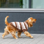214472_LittleBigger_Chenille_Stickad_Hundtroja_BrunBeige_1