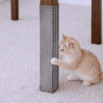 215712_LittleBigger_Tuxedo_Klosmatta_for_Bordsben_1