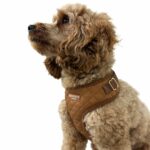 Trufois Lite -koiran valjaat, Macchiato Brown 215920_Trufois_Lite_Hundsele_Macchiato_Brun_3
