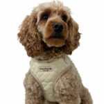 Trufois Lite -valjaat, Latte Beige 215924_Trufois_Lite_Hundsele_Latte_Beige_2