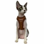 Step-In-valjaat Trufois, Macchiato Brown 215947_Trufois_Step-In_Sele_till_KattHund_Macchiato_Brun_3