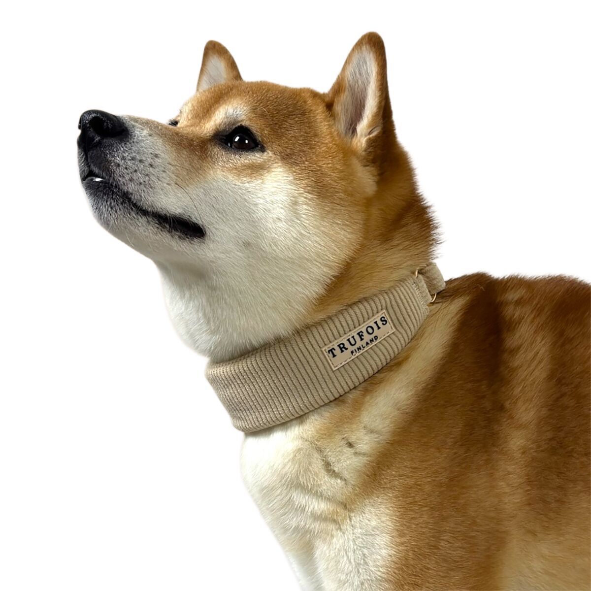 Leveä kaulapanta Trufois, latte beige