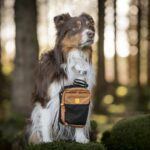 216003_Woolly_Wolf_Hydration_Axelbandsvaska_Brun_2