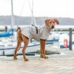 217250_Trixie_Be_Nordic_Husum_Regntacke_till_Hund_Beige_1