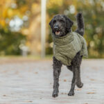 217266_Trixie_Minot_Sherpa_Hundtacke_Gron_1