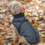 Trixie Pontis valjastakki koiralle, sininen 217275_Trixie_Pontis_Vintertacke_for_Hund_med_Sele_Bla_3