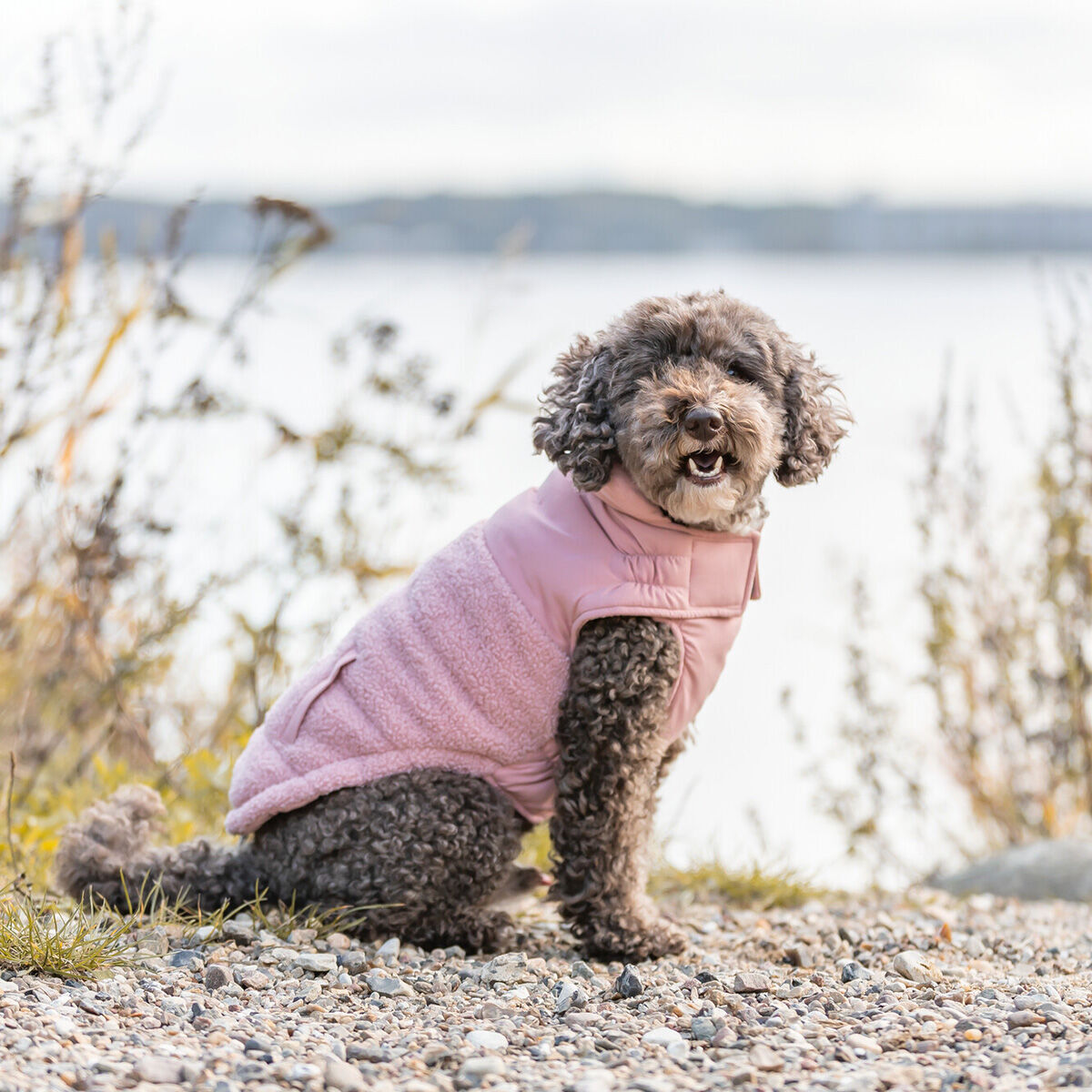 Trixie Ajou koiran talvitakki, pinkki