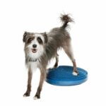 217325_FitPaws_Balansplatta_till_Hund_Bla