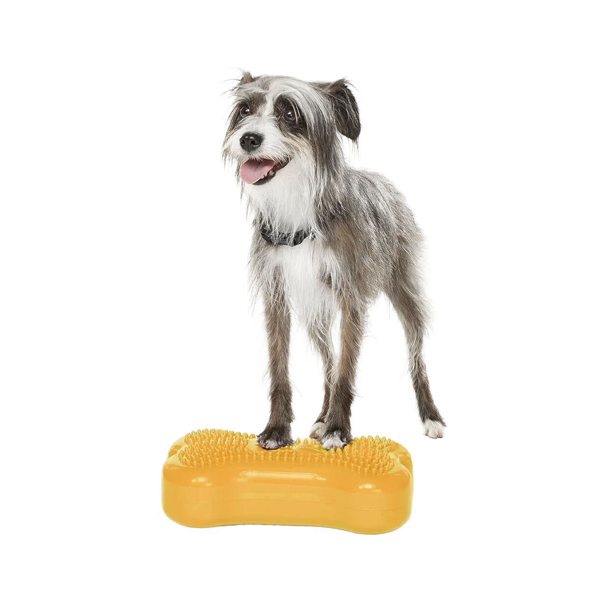 FitPaws K9FitBone Mini, 29 x 17 x 7 cm, 2 kpl