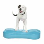217334_FitPaws_K9FitBone_Giant_Balansplatta_till_Hund_Turkos