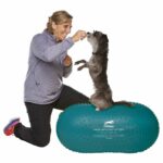 217337_FitPaws_Trax_Peanut_Balansboll_Bla_60cm