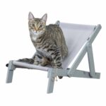 Trixie-kissan rantatuoli, harmaa 217616_Trixie_Strandstol_till_Katt_Gra