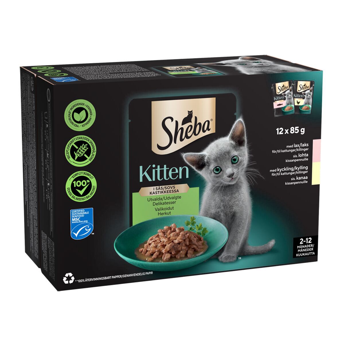 Sheba Kitten Mix kastikkeessa 12 x 85 g