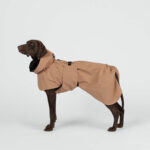 218441_PAIKKA_Visibility_Regnjacka_till_Hund_Brun_1