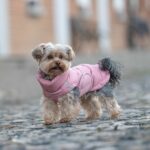 218596_51_Degrees_North_Edge_Hundjacka_Rosa_4