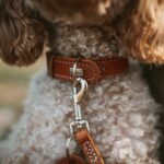P216984_Hunter_Aalbrog_Hundhalsband_Brun_3