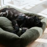 P217055_Hunter_Kumara_Hundbadd_Soffa_Gron_2