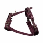 P217929_Trufois_Comfy_Hundsele_Vinrod