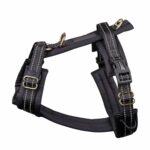 Pehmustetut valjaat koiralle Trufois Comfy, hiilenharmaa P217933_Trufois_Comfy_Hundsele_Svart