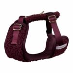 Trufois Lite Teddy koiran valjaat, viininpunainen P217955_Trufois_Lite_Teddy_Hundsele_Vinrod
