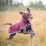 P218118_Pomppa_Sportti_Maroon_1