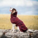 P218199_Pomppa_Woolie_Maroon_2