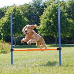 agility-aitaeste-trixie-123-x-115-cm-f0