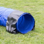 agility-painopussit-tunneliin-trixie-az-54