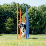 agility-pujottelueste-trixie-12-keppia-a3