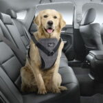 All For Paws koiran autovaljaat all-for-paws-dog-bilsele-d6