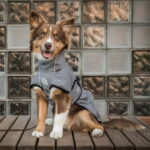 Back On Track koiran takki Nella back-on-track-dog-rug-nella-grey-61
