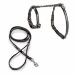Kissan valjasseetti Basic Rebel, musta basic-cat-rebel-sele-koppel-svart-43