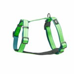 Pehmustetut valjaat Basic Fresh, vihreä basic-fresh-eco-vadderad-hundsele-gron-7c