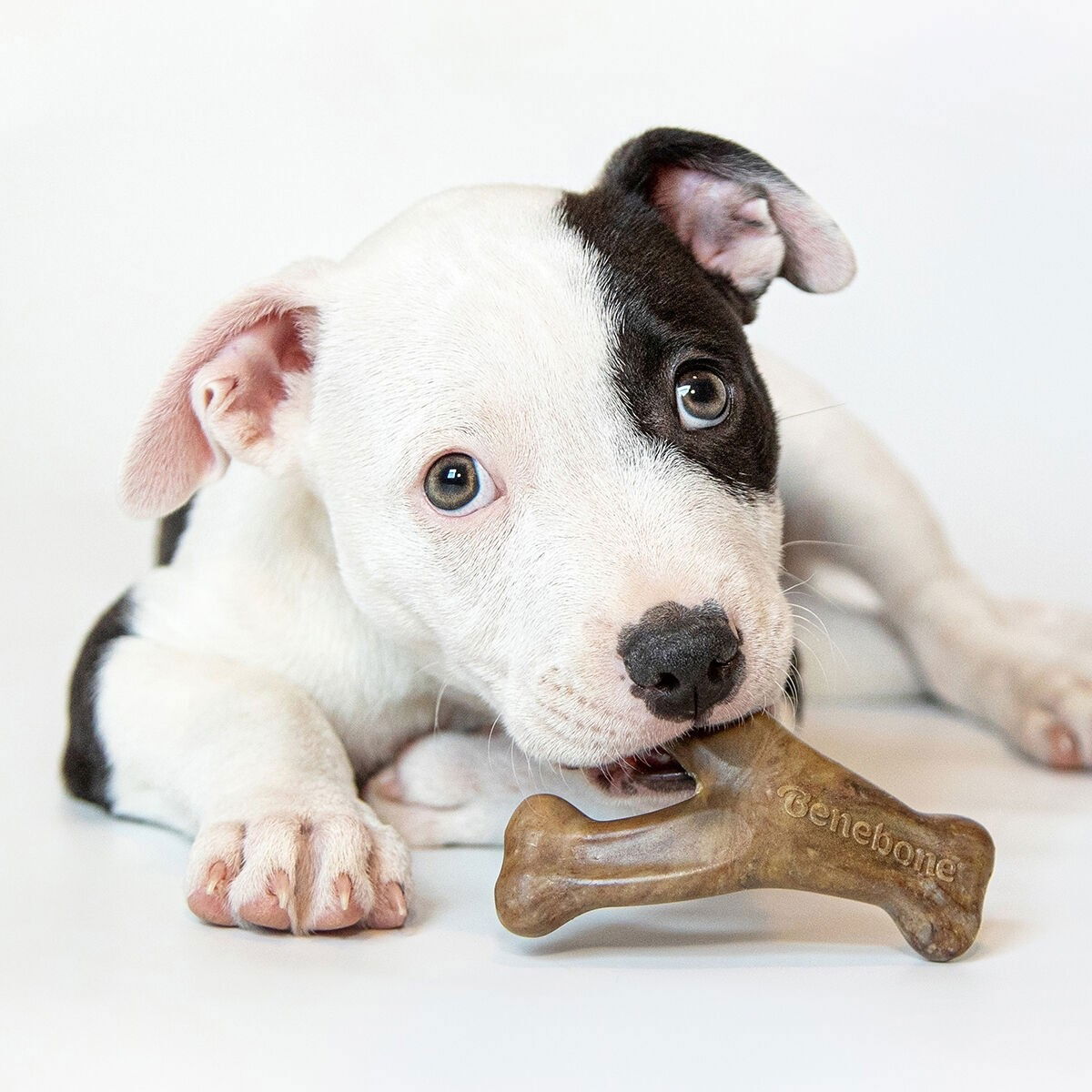 Benebone Puppy 2 kpl – Dental Chew/Wishbone Bacon Tiny