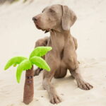 Beeztees Palmu -koiran pehmolelu beeztees-plush-dog-toy-palmtree-az-1f