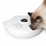 catit-pixi-smart-foderautomat-6-maltider-34