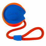 Chuckit Narupallo chuckit-rope-fetch-az-4b