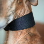 collar-of-sweden-levea-solkipanta-musta-glitter-az-b9