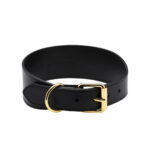 collar-of-sweden-solkipanta-levea-musta-az-d0