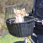 cykelkorg-pil-svart-m-gallertak-d4