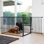 dogspace-max-valphage-svart-b2