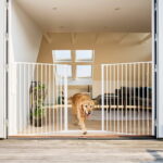 Säädettävä koiraportti DogSpace Rocky extrakorkea 90-221 cm dogspace-rocky-utdragbar-hundgrind-vit-90-221x1045-cm-92