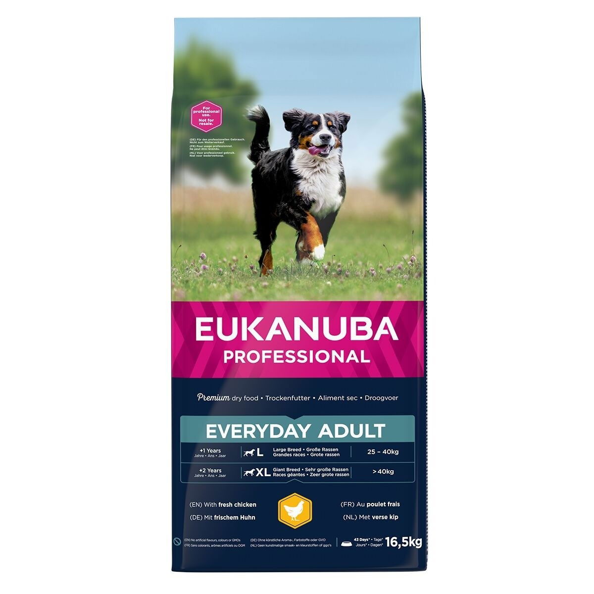 Eukanuba EveryDay Adult Large 16,5 kg