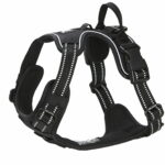 feel-active-135654_feel_active_training_harness_black-e7