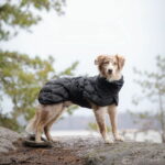 Koiran toppatakki Feel Active Haga feel-active-haga-parka-svart-35
