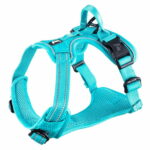 feel-active-training-valjas-turkoosi-34