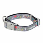 fuzzyard-koiran-kaulapanta-coachella-az-bd
